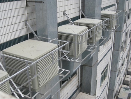 �C���S�h�����{���b����