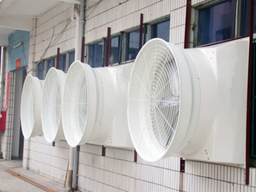 ����������L�C