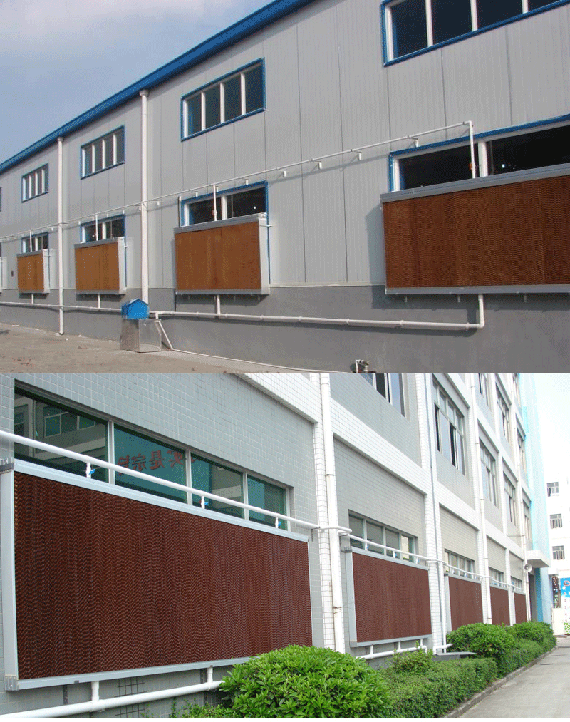 �|ݸˮ���L�C���FƤ�����ذ���