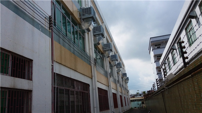 �|ݸʯ���h�����{����ӏS����