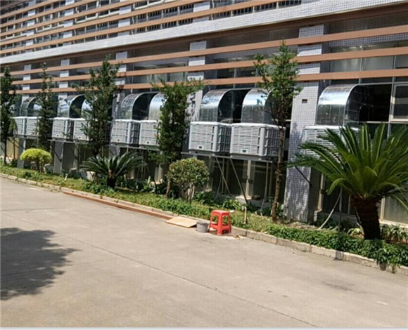 �h�����{-�S���������L����