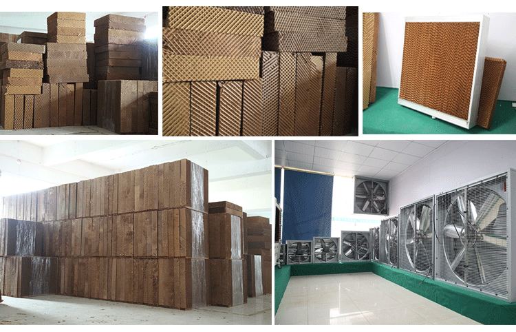 ��̩ˮ���L�C�}��һ��