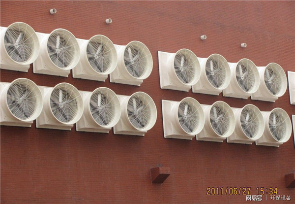 ������w�S�����L�C���L����