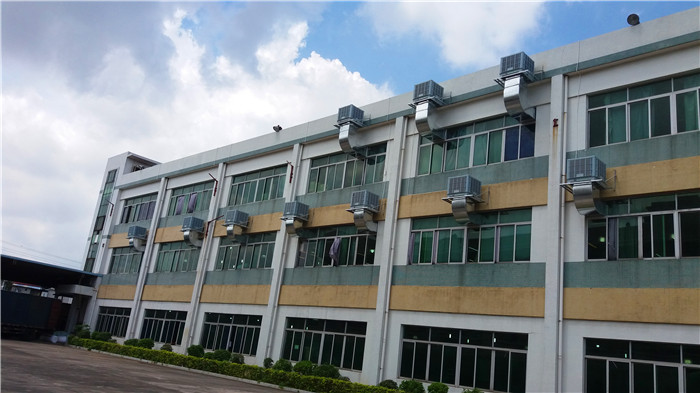 �h�����{������y���{���㲻֪����ʡ�X��