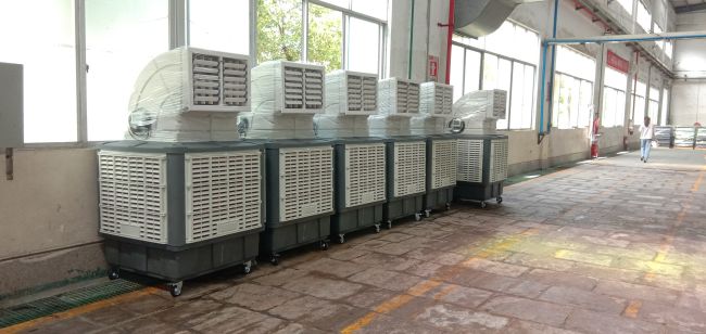 ���I�Ƅ����L�C