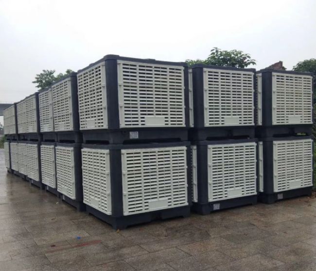 �h�����{���L�C