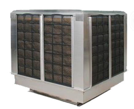 ���P䓭h�����{