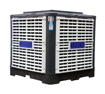 FT-300�S���h�����{