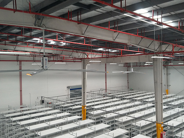 ���͹��ܵ���