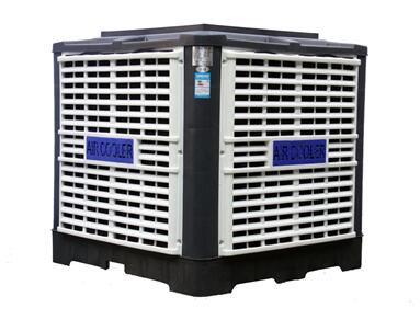 �h�����{�S��