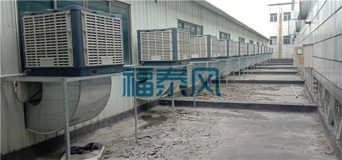 ���ږ|ݸͨ�L�����O��-����