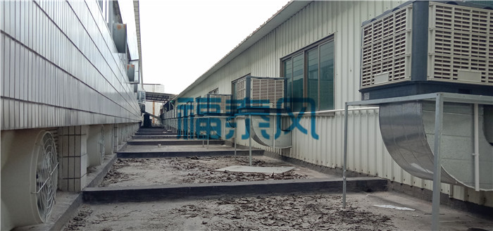 �h(hu��n)�����{���L�C���ذ��b/�S��-��̩