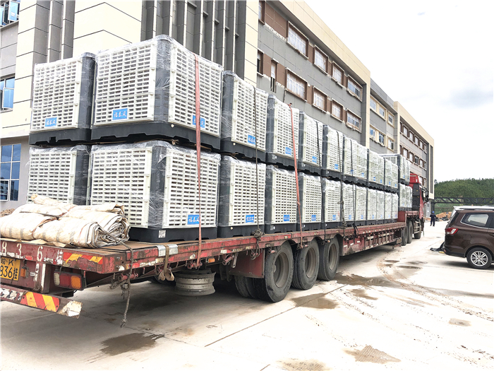 �h(hu��n)�����{�͂��y(t��ng)���{�ą^(q��)�e��������