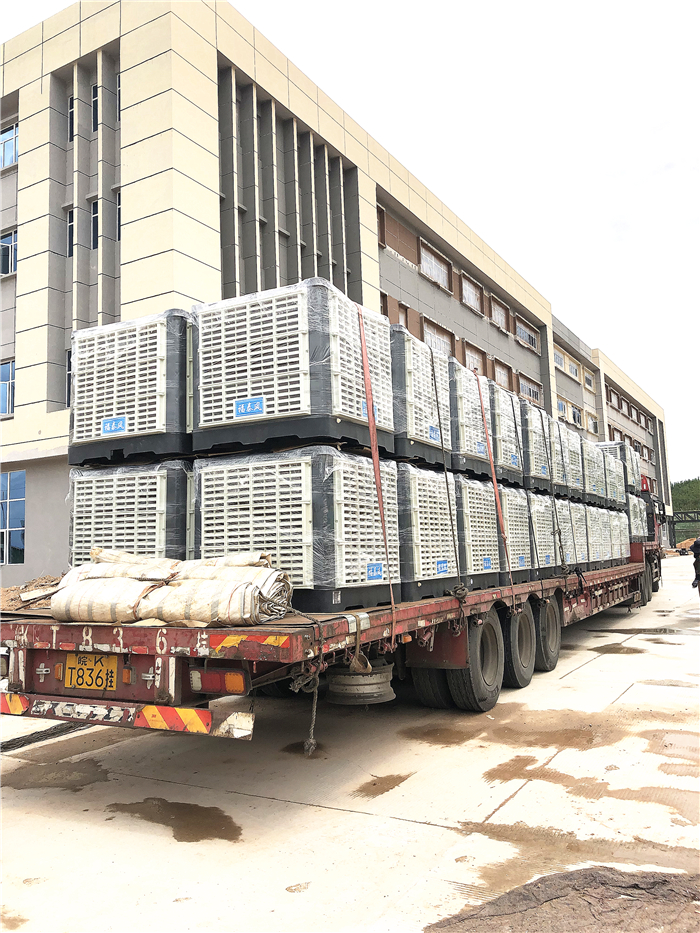 �h�����{�S��