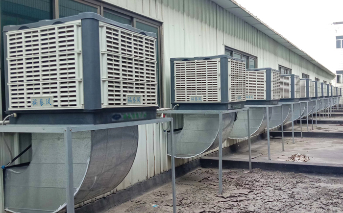 �h�����{